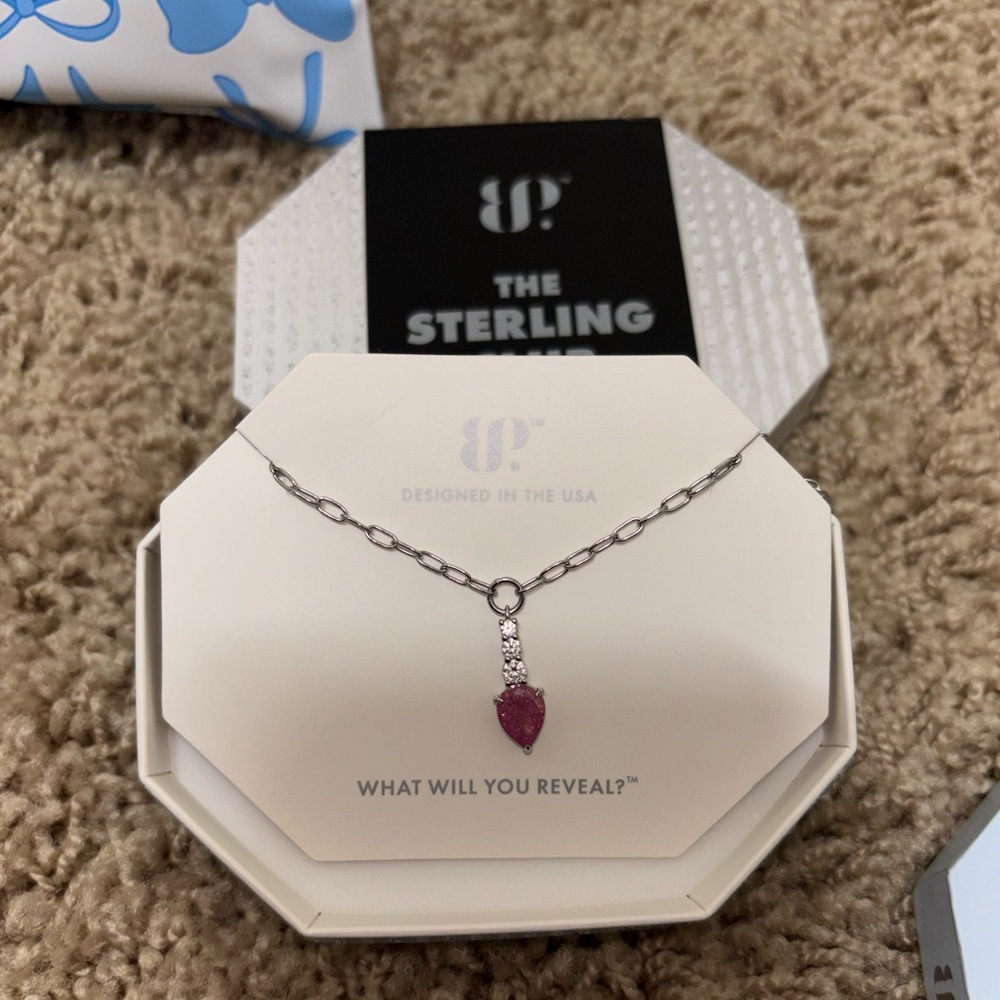 Sterling Club Necklace